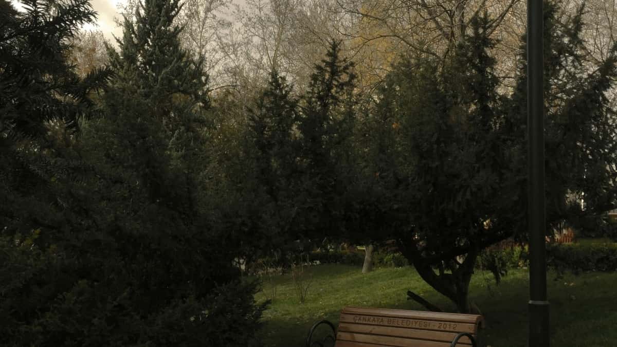 Як YouTube інфлюенсери з України співпрацюють з брендами Австралії