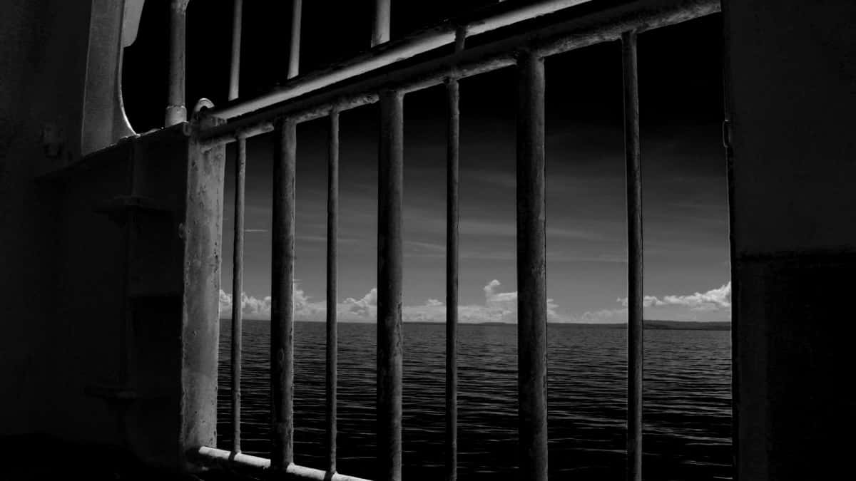 Як ютубери України співпрацюють з брендами Канади
