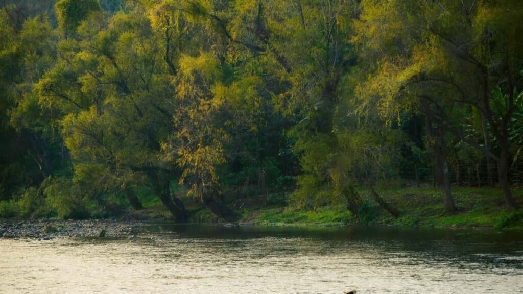 Як Instagram інфлюенсери України співпрацюють з брендами Нідерландів