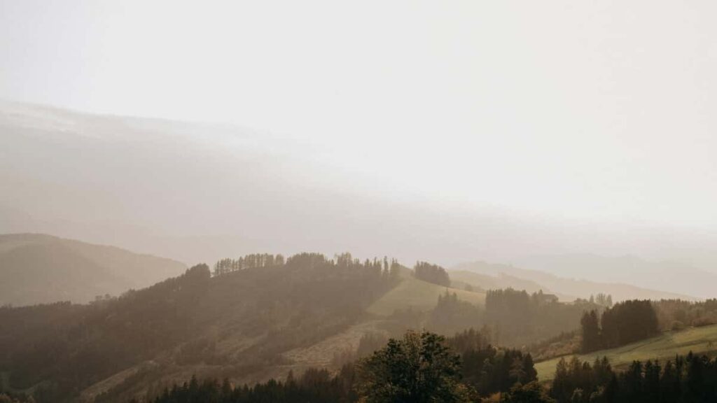 Top 10 WhatsApp Influencers You Should Collaborate With in Austria