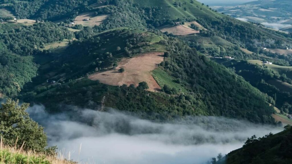 Топ 10 TikTok лідерів думок з Швеції для співпраці з Ukraine