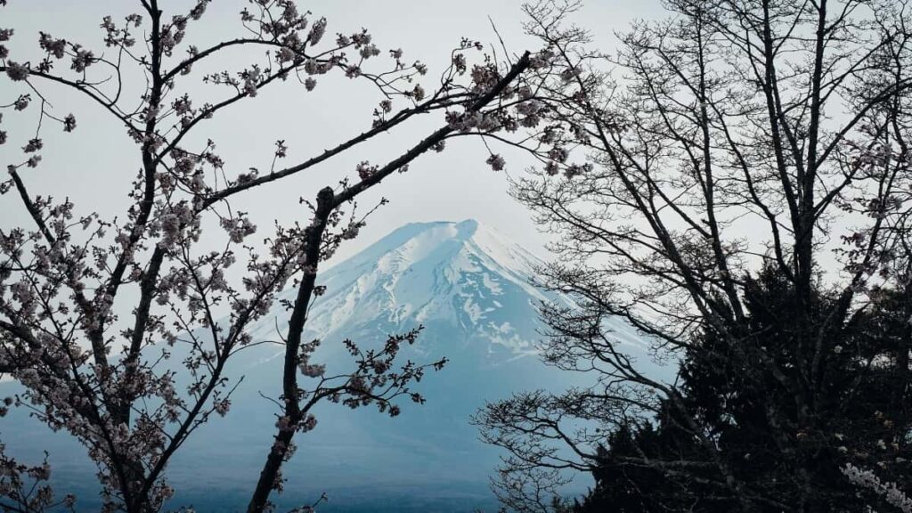 2025 Poland Instagram рекламні тарифи для Ukraine брендів