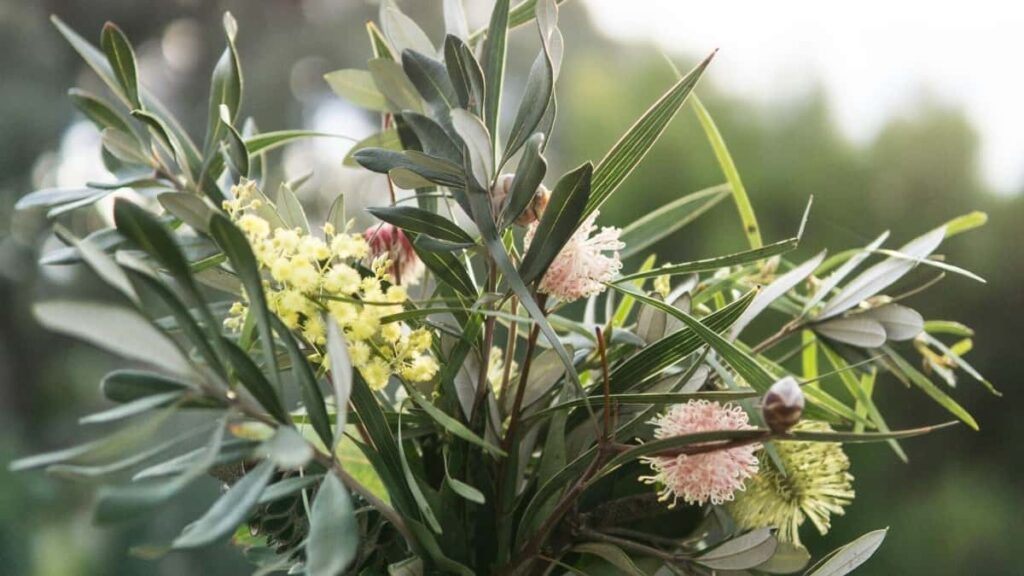 2025 Poland Instagram повний прайс рекламних послуг для України