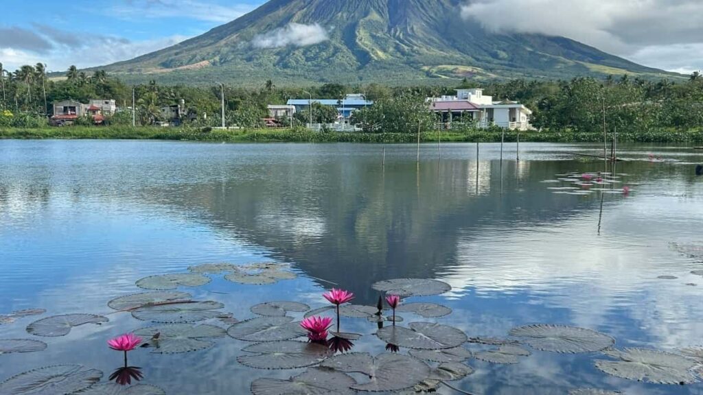 Актуальні тарифи Instagram реклами у Польщі 2025 року для України