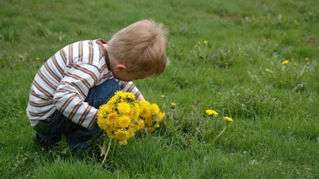 2025 Poland Instagram Рейт Кард для Реклами у Польщі