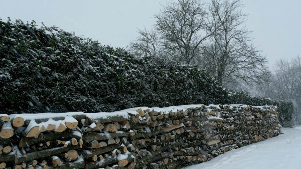 2025 Poland Instagram повний прайс на рекламу для Ukraine