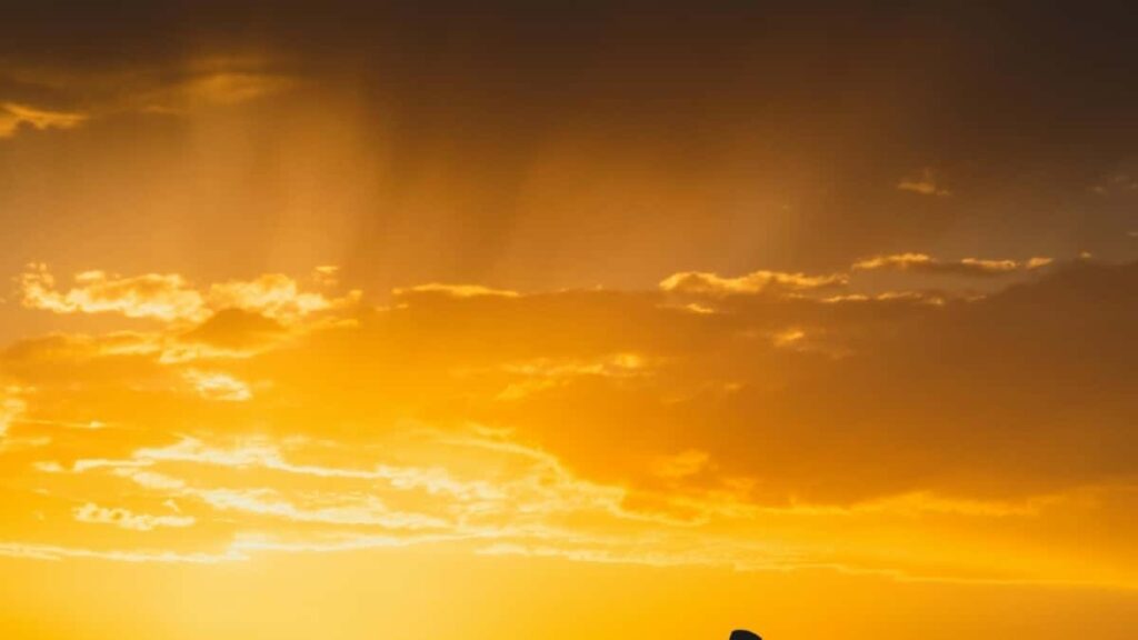 2025 Польща Instagram Рекламний Прайс Лист для Українського Ринку