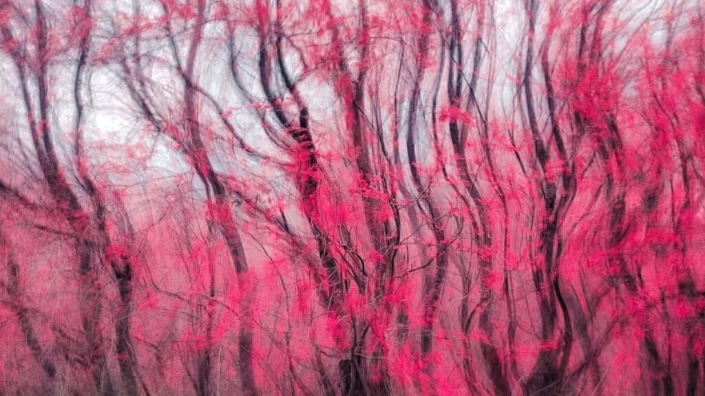 2025 Poland Instagram рекламні тарифи для України