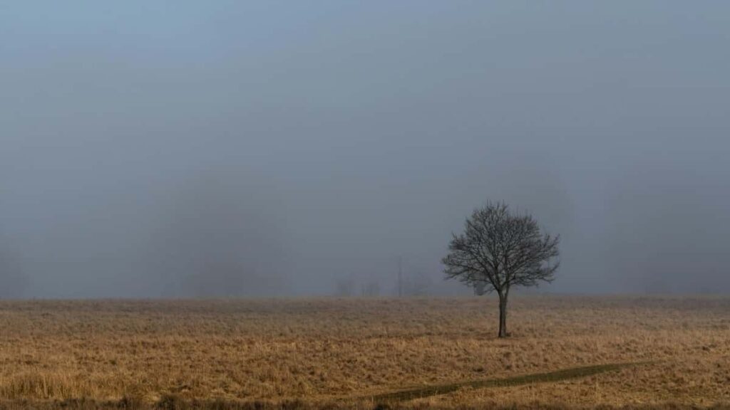 2025 Poland Instagram повний прайс на рекламу для Ukraine