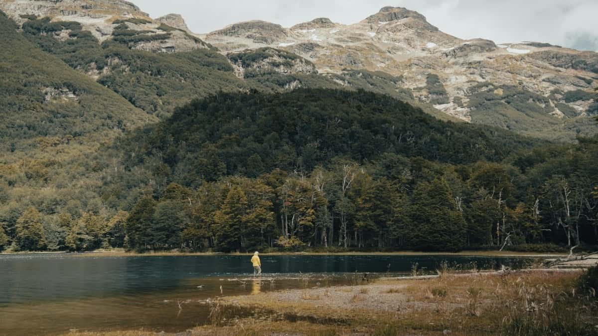 2025 Poland Instagram рекламні тарифи для українських рекламодавців