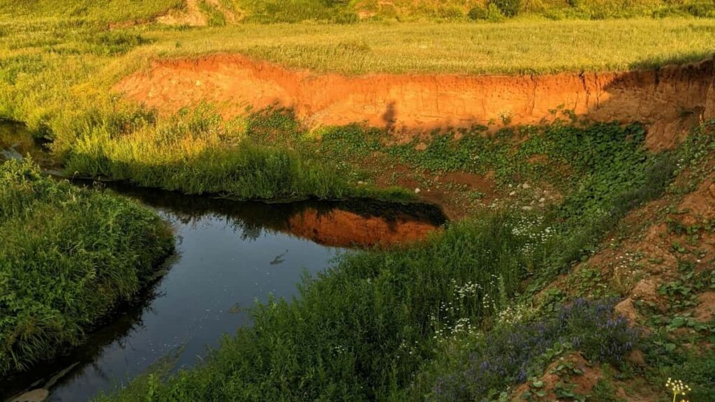 2025 Польща Instagram Рекламний Прайс Лист для Українських Брендів