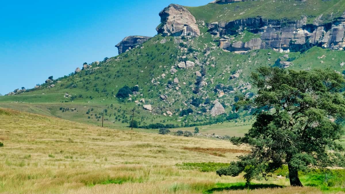 Shopee у Венесуелі: Як координувати бренд-кампанію та її таймінг