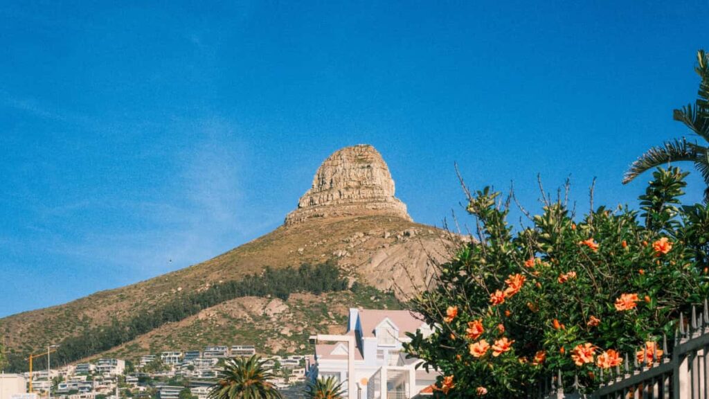 : Roposo- .