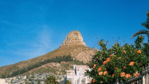 : Roposo- .