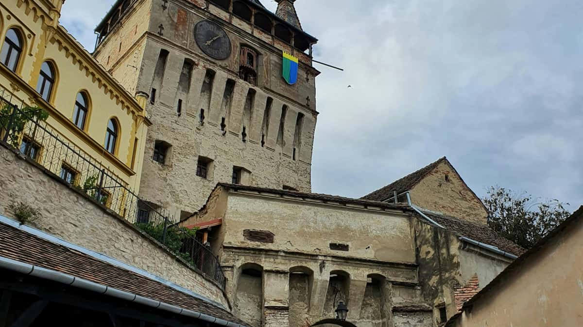 Бренди: знайти австралійських креаторів у Twitter для серії туторіалів
