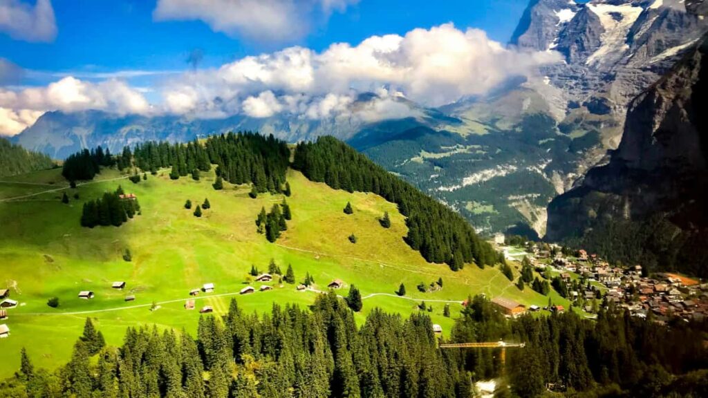 : , Discord, must-have .