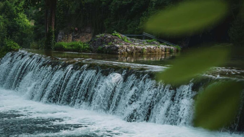 , Disney Plus, awareness .