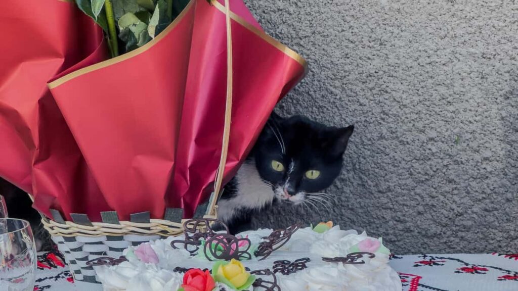 SMM-: , SoundCloud , .