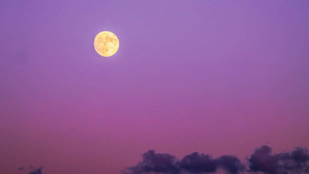 : , Morocco Instagram creators .