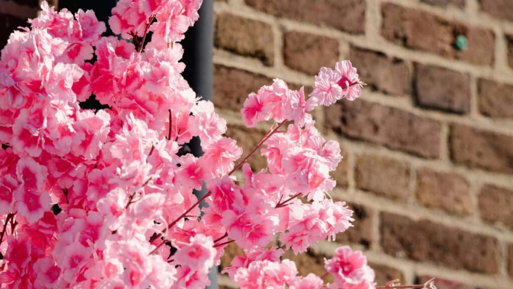 : ' Takatak, beforeandafter .