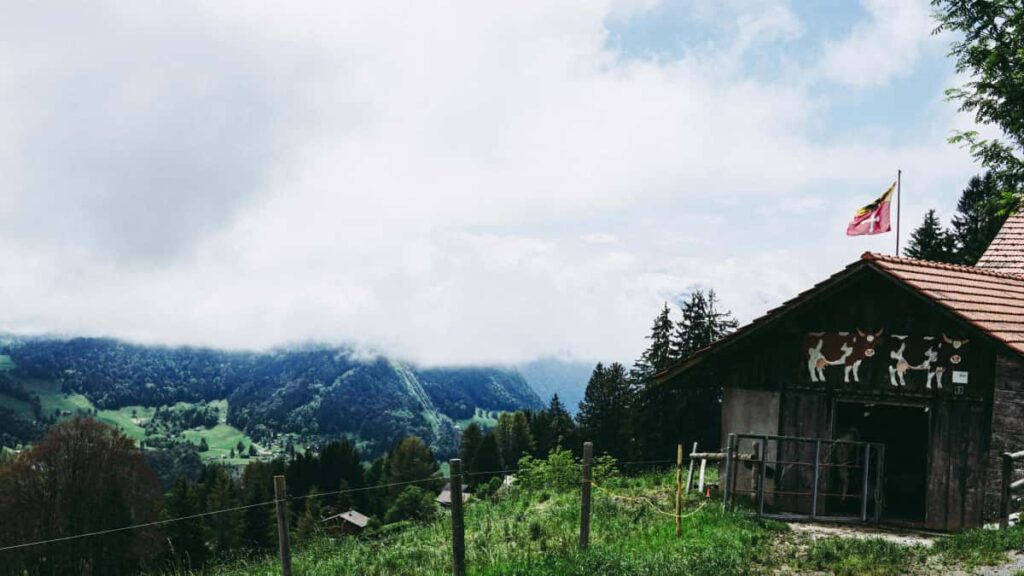 : , beauty- Kuaishou. , , 2026.