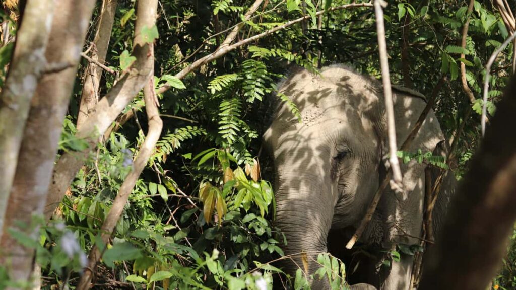 : , -seeding WhatsApp .